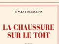 la-chaussure-sur-le-toit-vincent-delecroix